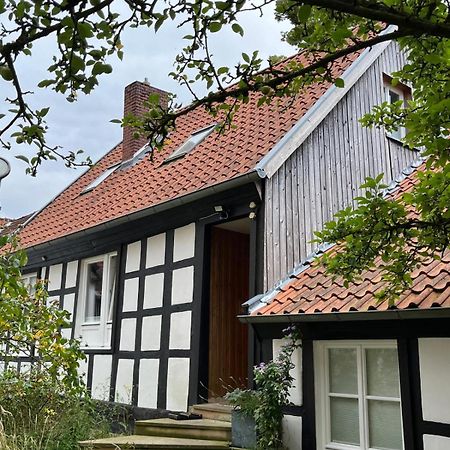 Apartmán Lateinschule Tecklenburg Exteriér fotografie
