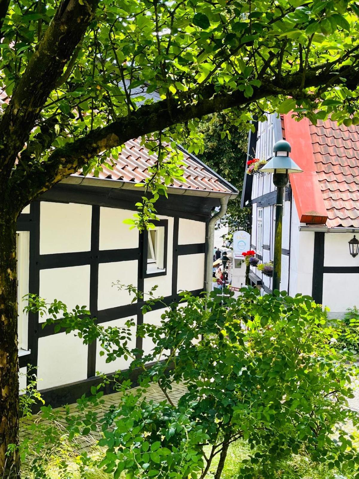 Apartmán Lateinschule Tecklenburg Exteriér fotografie