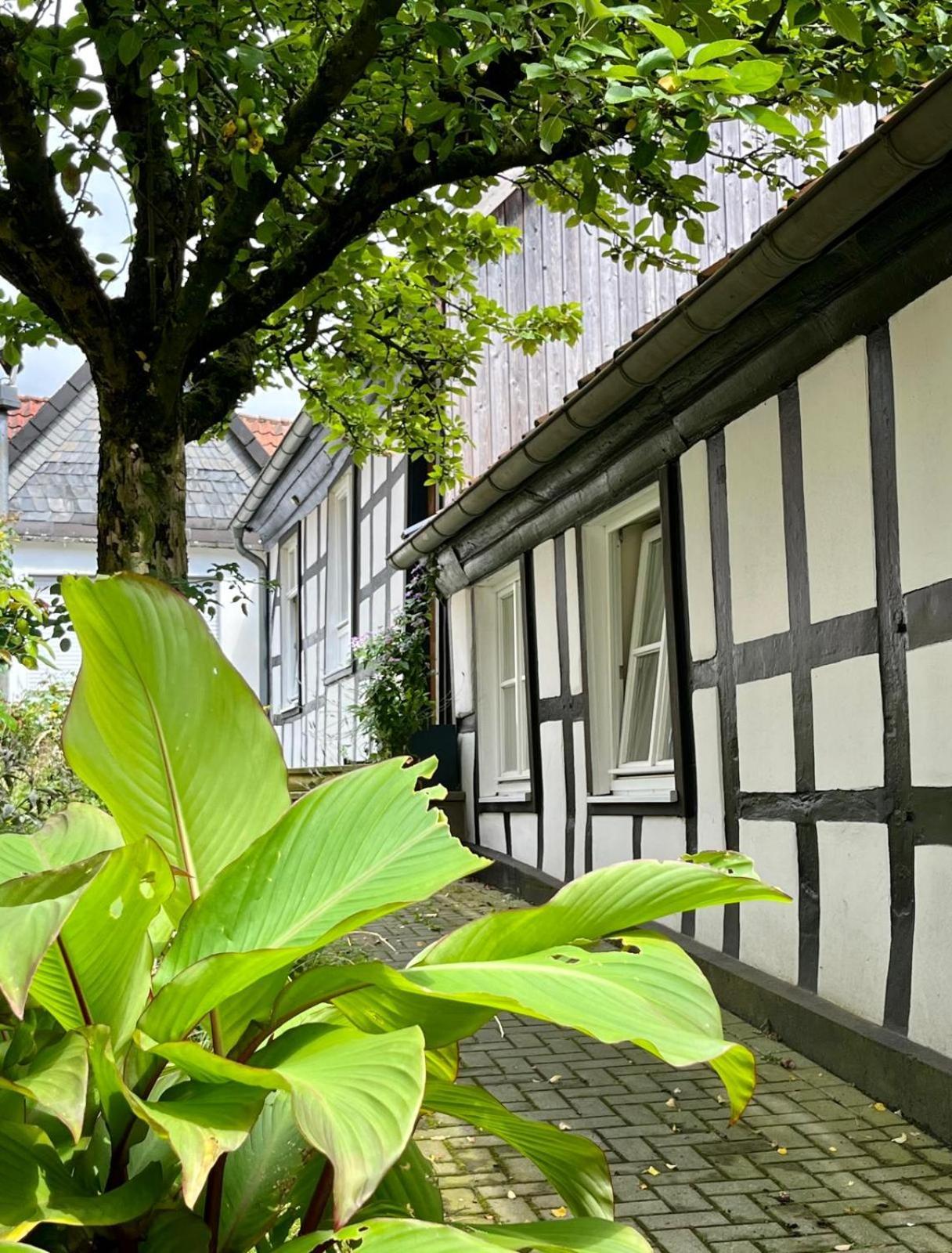 Apartmán Lateinschule Tecklenburg Exteriér fotografie